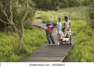 Teacher showing something to children during nature field trip