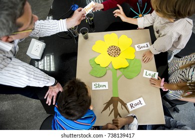 Teacher Teaching Flower Structure To Diverse Group Of Kindergarten Students In Science Class