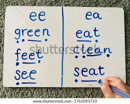 Teaching Phonics Alternatives Vowels Digraphs Spellings Using Sound Buttons