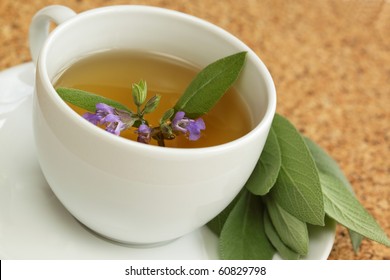 Teacup With Garden Sage Tea / Salvia Officinalis/