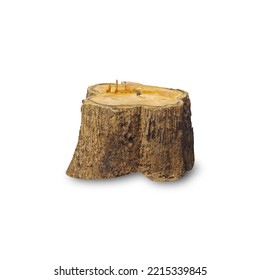 Teak stump isolated on white background with clipping path, The stump of a teak tree that has been cut short. - Shutterstock ID 2215339845