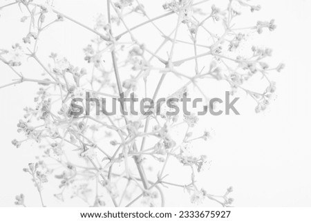 Image, Stock Photo spring on silver