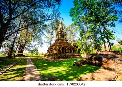 Teak tree with old pagoda in Pa Sak temple, Chiang Rai Province.