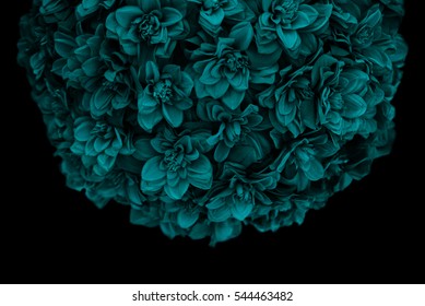 Teal Blue Bouquet Of Flowers Against A Black Background