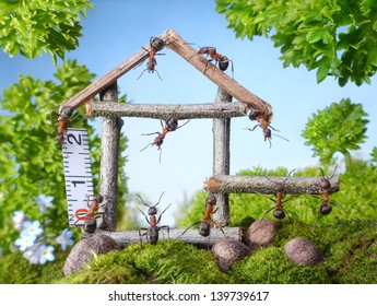 Team Of Ants Constructing Wooden House In Forest, Teamwork, Ant Tales