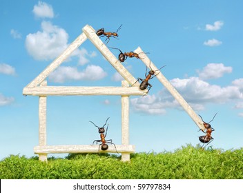 Team Of Ants Constructing Wooden House With Matches