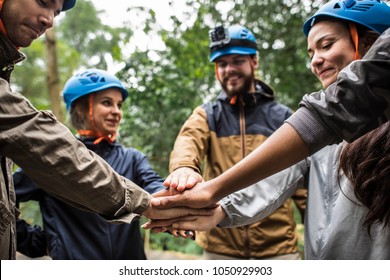 Team Building Outdoor In The Forest