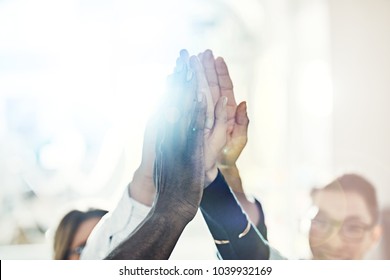 Team Of Diverse Businesspeople Standing In A Huddle Together In A Bright Modern Office High Fiving Each Other  