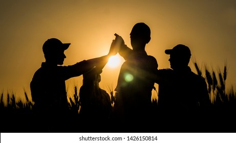 A team of energetic young people makes the high five mark in a picturesque wheat field at sunset.