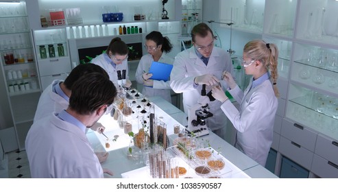 Team Of Food Researchers Examination Of Bio Plant Seedlings In Nursery Laboratory, Botanist Lab Scientists Doing Microscopic Biological Test On Organic Seed, Future Science Research Project Activity