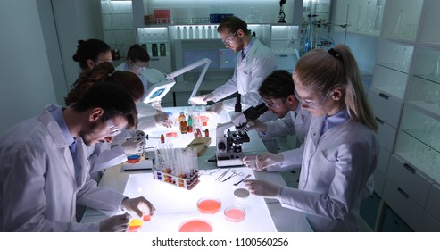 Team Of Forensics Scientists Working In Scientific Laboratory, Medical Activity For Researchers In Science Lab