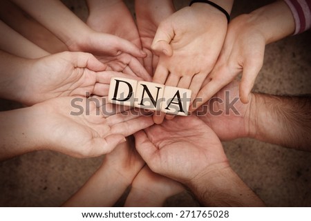 Team Holding Building Blocks spelling out DNA