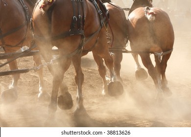 A team of horses hitched to a wagon running through a dusty field.