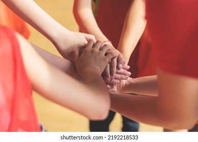 Team Of Kids Children Basketball Players Stacking Hands In The Court, Sports Team Together Holding Hands Getting Ready For The Game, Playing Indoor Basketball, Team Talk With Coach, Close Up Of Hands