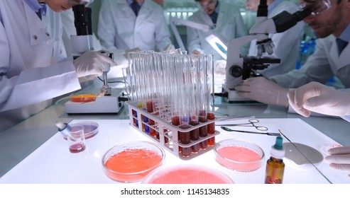 Team Of Medical Forensics Working And Analyzing Samples In Hospital Science Laboratory Room