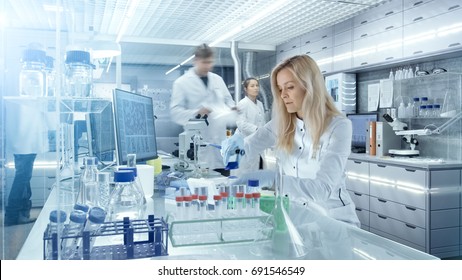 Team of Research Scientists Working With Personal Computer, Analysing Test Trial New Generation Drug Data. They Work in a Modern Laboratory/ Medical Center.