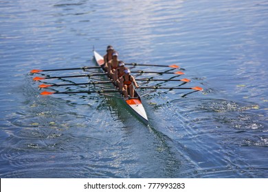 Team Of Rowing Four-oar Women In Boat 