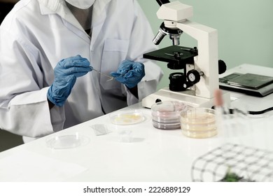 team of scientists is preparing to isolate tissue for research in a scientific laboratory with a microscope and scientific experimental equipment  in bio chemical lab