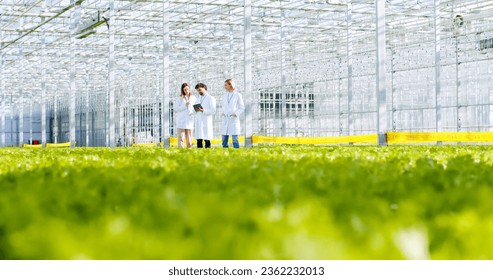 Team of scientists studying freshness of plants at industrial hydroponic greenhouse. Two female and one male researcher in lab coats walking along greenery organic farm with tablet in hands. - Powered by Shutterstock