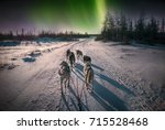 A team of six husky sled dogs running on a snowy wilderness road in the Canadian north under the aurora borealis and moonlight.