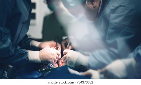 Team of surgeons make a dissection for aortic valve repair in cardiovascular minimally invasive surgery hospital center. Best health care managment in hospital with valve innovation minithoracotomy