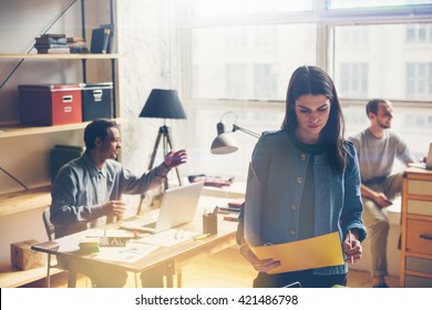 Team Work Discussing. Open Space Office And Startup Crew Brainstorming At New Project. Young Woman With Paper Folder. Film Effect, Blurry Background, Lens Flare Effect