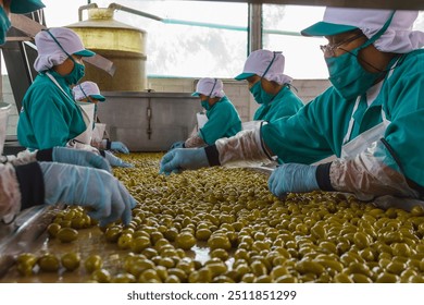 Team of workers in uniform, carefully sorting olives on a conveyor belt in a modern processing facility, ensuring quality control. - Powered by Shutterstock