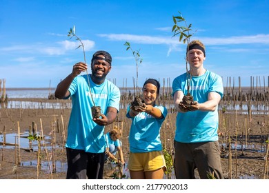 Team of young and diversity volunteer worker group enjoy charitable social work outdoor in mangrove planting NGO work for fighting climate change and global warming in the coastline habitat project - Shutterstock ID 2177902013