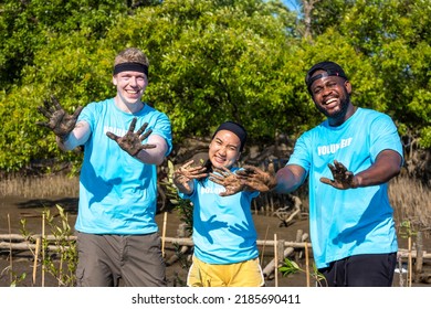 Team Of Young And Diversity Volunteer Worker Group Enjoy Charitable Social Work Outdoor In Mangrove Planting NGO Work For Fighting Climate Change And Global Warming In Coastline Habitat