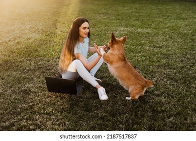 Teambuilding. Teamwork With Welsh Corgi Pembroke On The Grass Outside. Girl Hand Give Five Corgi Dog. Working On Laptop Outdoor. Communication With Colleagues And Family Online