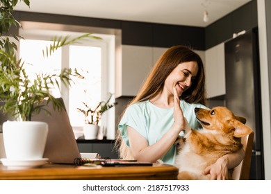 Teambuilding. Teamwork With Welsh Corgi Pembroke At Home. Girl Hand Give Five Corgi Dog At Work Place With Laptop At Home. Communication With Colleagues And Family Online