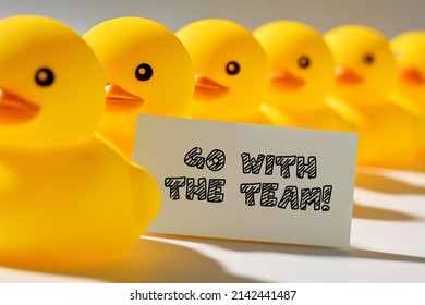 Teamwork, Cooperation Or Collaboration In Business Concept. Rubber Ducks In A Row Carry A Signboard With The Message Go With The Team.