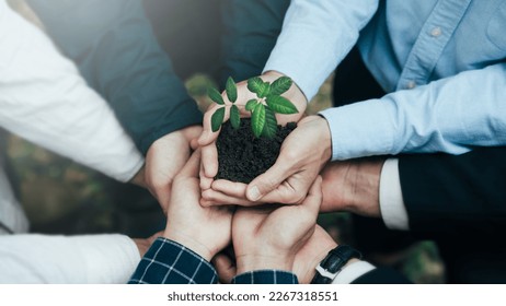 Teamwork and cooperation to conserve the green business forest of growing with plants in the hands of an eco-friendly group or team. Collaboration in green business Foto Stok
