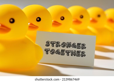 Teamwork, Cooperation, Togetherness Or Collaboration In Business Concept. Rubber Ducks In A Row Carry A Signboard With The Word Stronger Together.