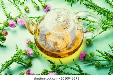 Teapot With Medicinal Wild Herbal Tea.Milk Thistle Or Silybum Marianum In In Herbal Medicine