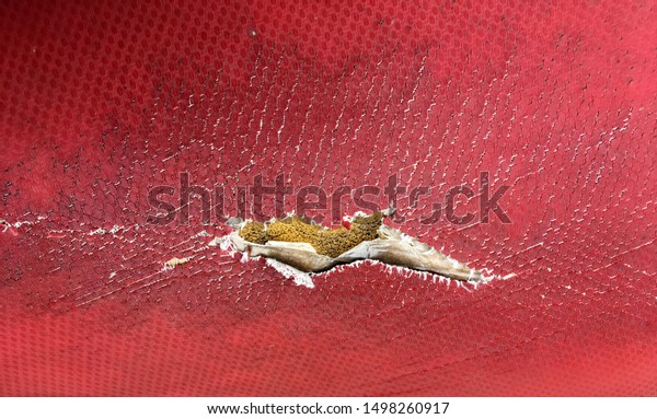 Tear damaged old leather\
sofa