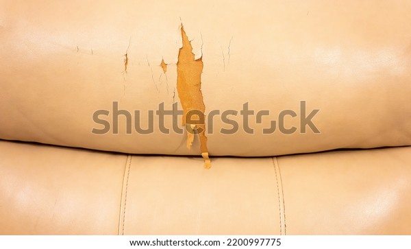 Tear\
damaged old synthetic leather brown sofa. Old cracked damaged\
leather on sofa synthetic leather\
upholstery.