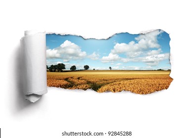 Tearing a paper frame hole to reveal wheat field landscape