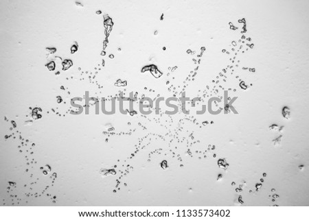 Image, Stock Photo Humid network Nature Water