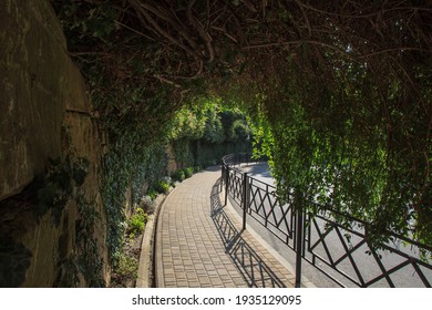 Teatralnaya Street In Sochi. Russia