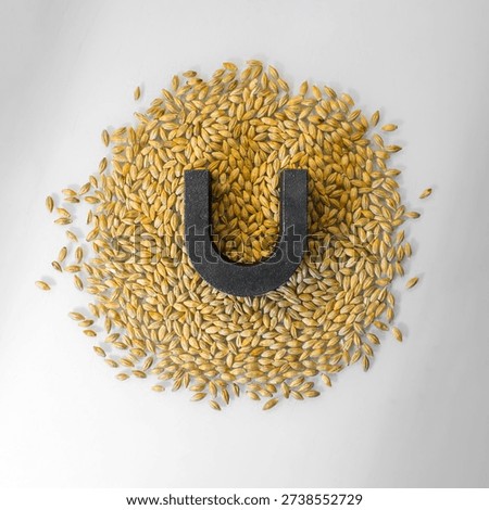 Technical analysis of barley grain. Magnet on grain. Determination of metal impurities. Grain laboratory.