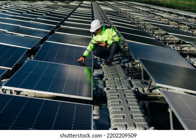 Technical Expert In Solar Energy Checks The Productivity Solar Panel Field For Examination