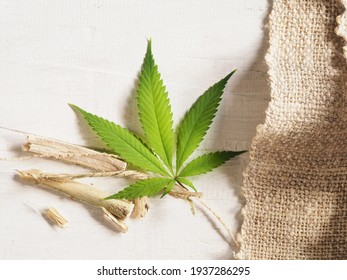 Technical Hemp Sheet And Fiber