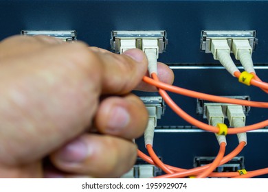 Technician connect fiber cable network to switch port in server room, Concept internet network management - Powered by Shutterstock