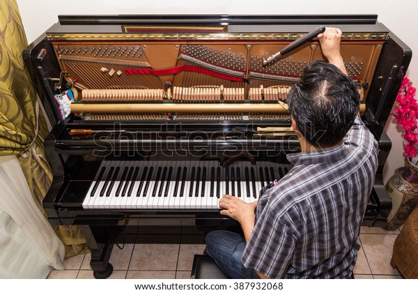 Technician cum musician tuning an upright piano\
using lever and\
tools