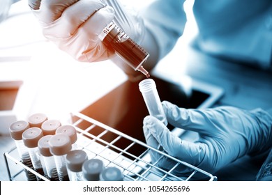 Technician Of Health With Test Tubes In The Clinical Lab For Analytical , Medical, Pharmaceutical And Scientific Research And Development Concept.