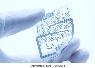 Technician Holding A Flexible Electric Circuit Layout