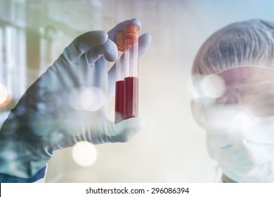 Technician Holds Laboratory Blood Panel Sample Test Tube