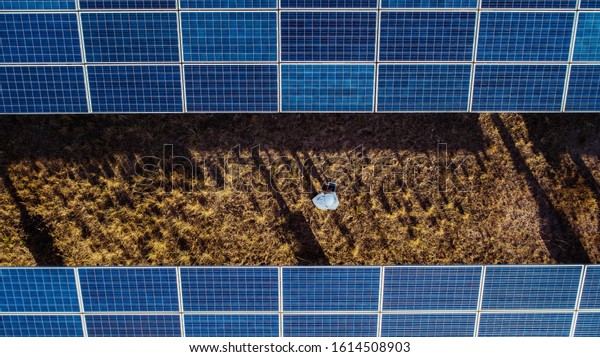 Technician and investor walking in Solar cell\
Farm through field of solar panels checking the panels at solar\
energy installation.Solar cells will be an important renewable\
energy of the\
future.