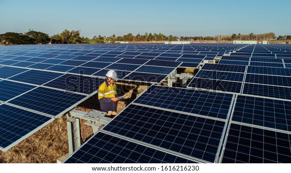 Technician and investor walking in Solar cell\
Farm through field of solar panels checking the panels at solar\
energy installation.Solar cells will be an important renewable\
energy of the\
future.